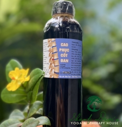 CAO PHỤC CỐT ĐAN 3 VỊ
