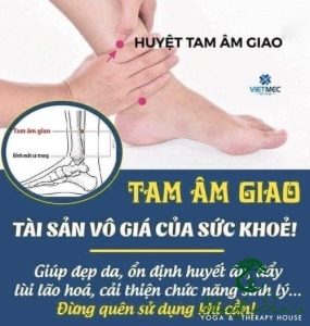 TÁC DỤNG DIỆU KỲ CỦA HUYỆT TAM ÂM GIAO