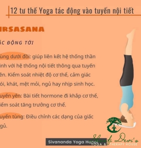 YOGA VÀ HỆ NỘI TIẾT