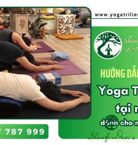 Hướng dẫn bài tập yoga trị liệu tại nhà đơn giản dành cho người mới