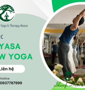 Lớp Vinyasa Flow Yoga của Lương Y - Master Yoga Trị liệu và Phục hồi Nguyễn Nhật Hồng