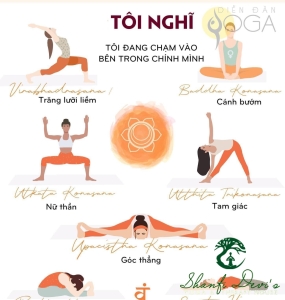 LUÂN XA SỐ 2 – SVADHISHTHANA CHAKRA – SINH LỰC