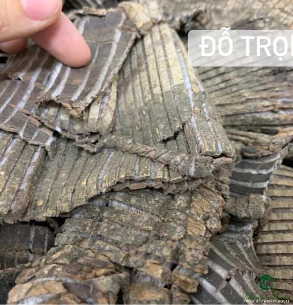 CAO PHỤC CỐT ĐAN 3 VỊ